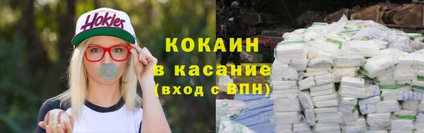 трава Наволоки