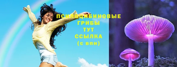 трава Наволоки