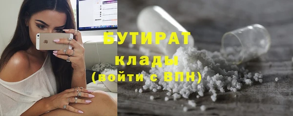 твердый Надым