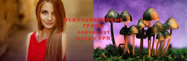 ешки Нефтегорск