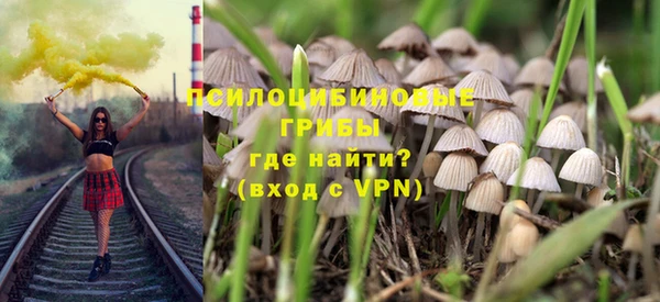 твердый Надым