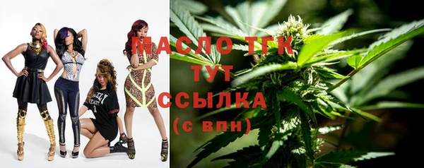 твердый Надым