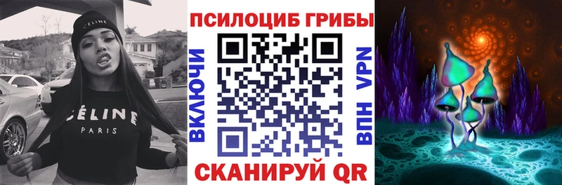 Псилоцибиновые грибы мухоморы Тайга